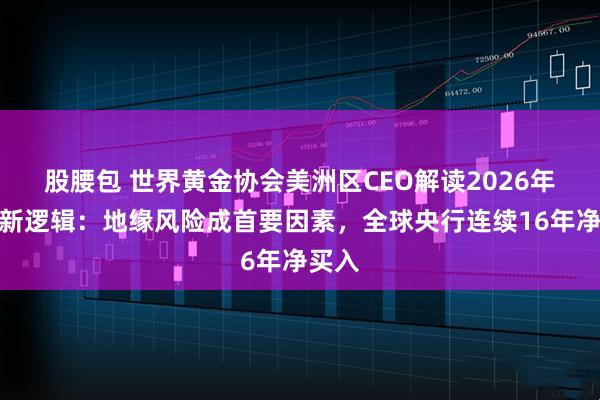 股腰包 世界黄金协会美洲区CEO解读2026年金价新逻辑：地缘风险成首要因素，全球央行连续16年净买入