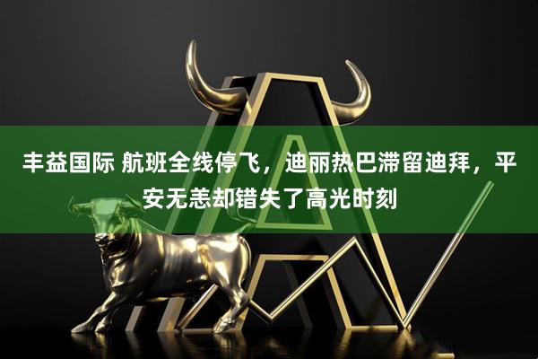 丰益国际 航班全线停飞，迪丽热巴滞留迪拜，平安无恙却错失了高光时刻