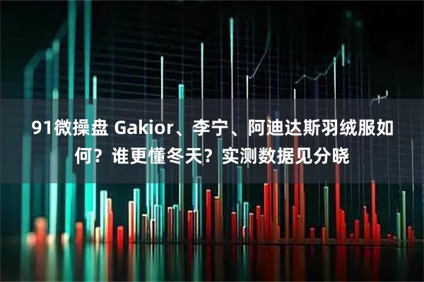 91微操盘 Gakior、李宁、阿迪达斯羽绒服如何？谁更懂冬天？实测数据见分晓