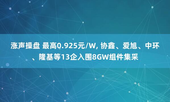 涨声操盘 最高0.925元/W, 协鑫、爱旭、中环、隆基等13企入围8GW组件集采