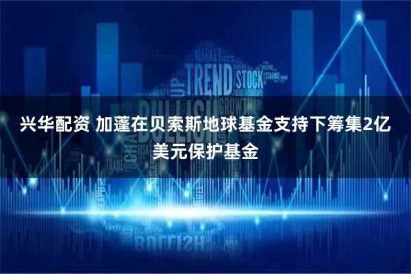 兴华配资 加蓬在贝索斯地球基金支持下筹集2亿美元保护基金