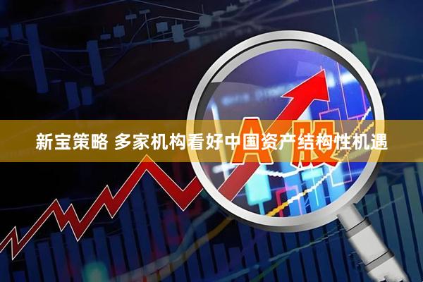 新宝策略 多家机构看好中国资产结构性机遇