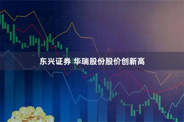东兴证券 华瑞股份股价创新高