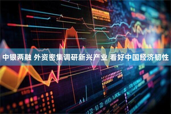 中银两融 外资密集调研新兴产业 看好中国经济韧性