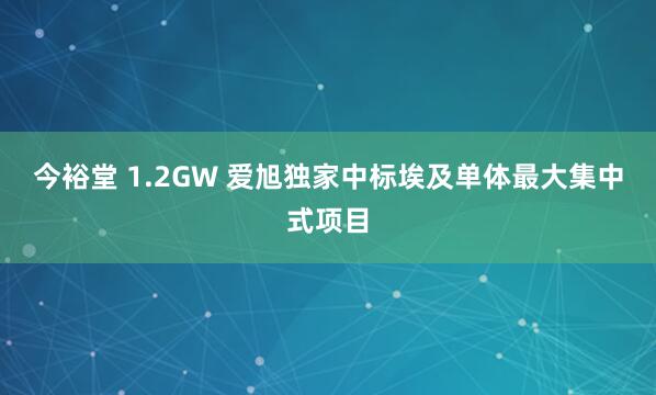 今裕堂 1.2GW 爱旭独家中标埃及单体最大集中式项目