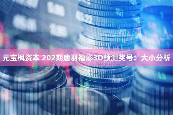 元宝枫资本 202期唐羽福彩3D预测奖号：大小分析