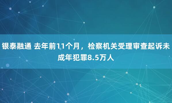 银泰融通 去年前11个月，检察机关受理审查起诉未成年犯罪8.5万人