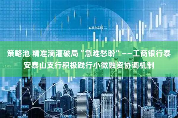 策略池 精准滴灌破局“急难愁盼”——工商银行泰安泰山支行积极践行小微融资协调机制