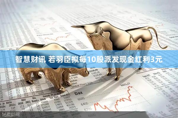 智慧财讯 若羽臣拟每10股派发现金红利3元
