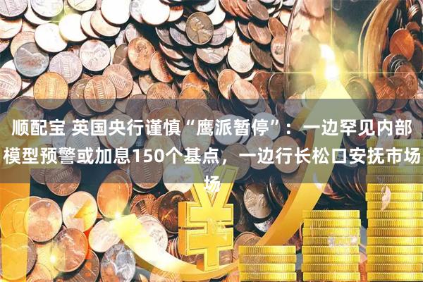 顺配宝 英国央行谨慎“鹰派暂停”：一边罕见内部模型预警或加息150个基点，一边行长松口安抚市场
