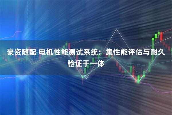 豪资随配 电机性能测试系统：集性能评估与耐久验证于一体